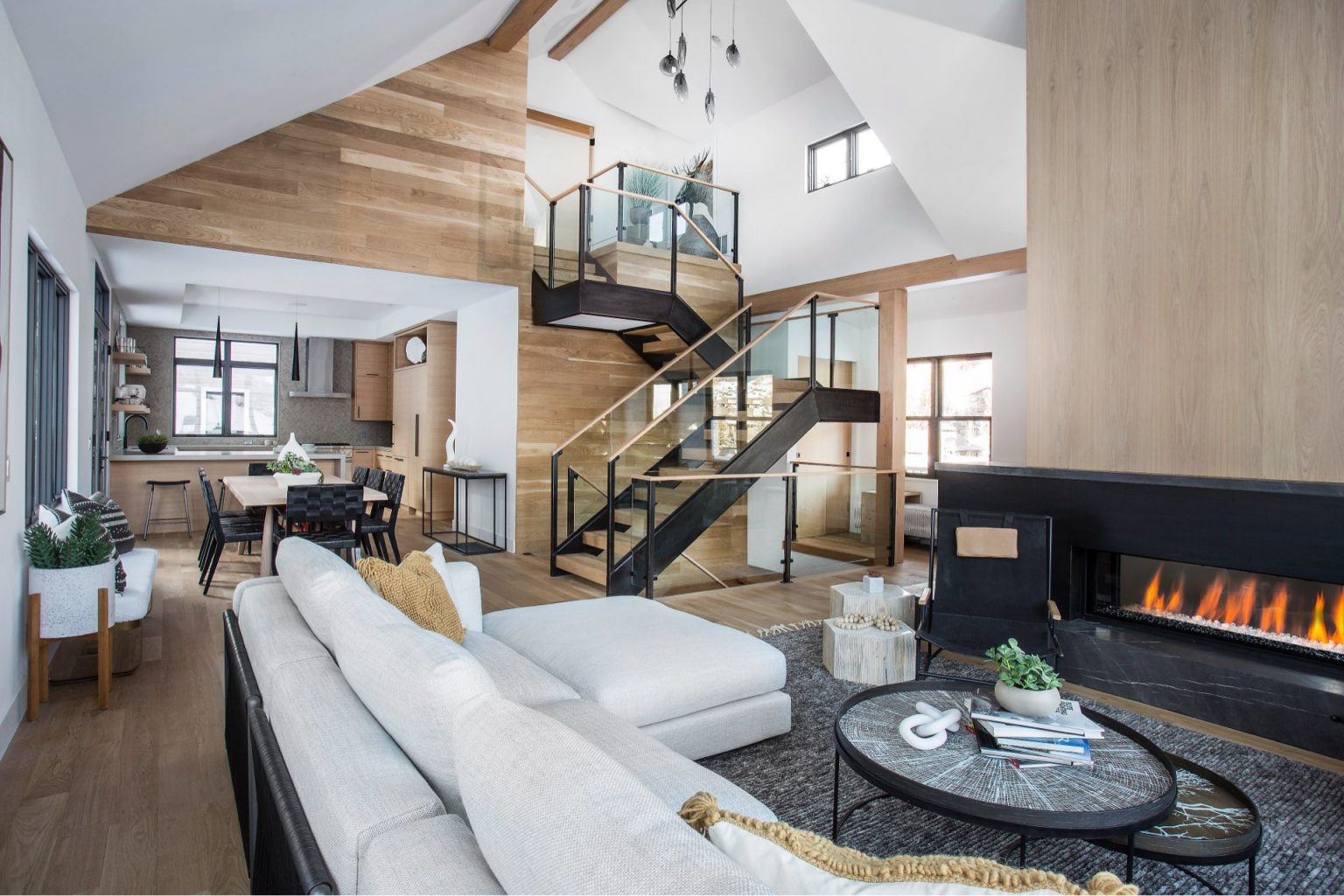 Living room, Lilac Hill Duplex Addition, architectural design by Elliott Workgroup